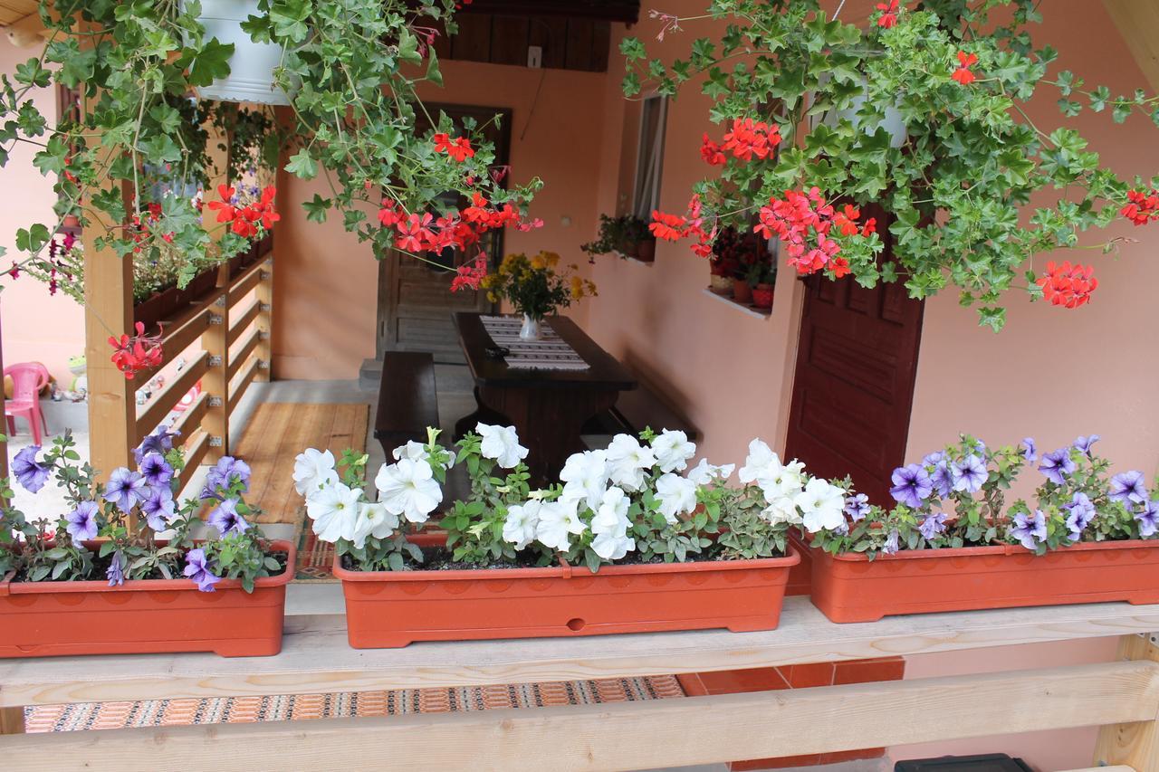 Casa Andreia Vila Gura Humorului Exterior foto
